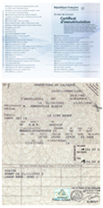 Nouvelle et ancienne carte grise